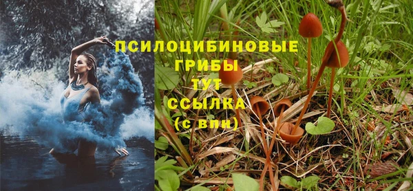экстази Алексеевка